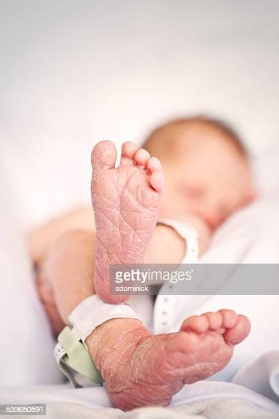 nude baby|1,589 Baby Bottom Stock Photos & High